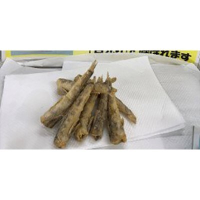 めひかりの唐揚げセット 蒲郡産 G0154 お礼品詳細 ふるさと納税なら さとふる