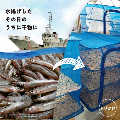 形原漁港直送　深海ギョのふりかけ　三種セット _【G0483】