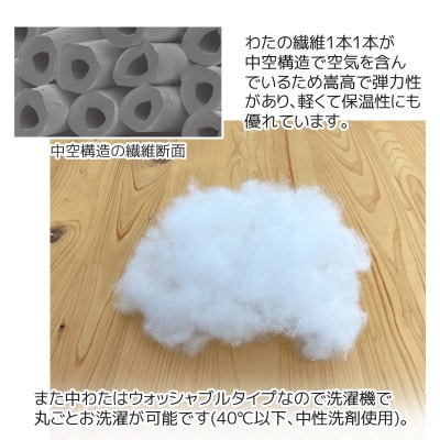 ヌード 中材 背当クッション 東レ テトロン2個セット_【G0815】