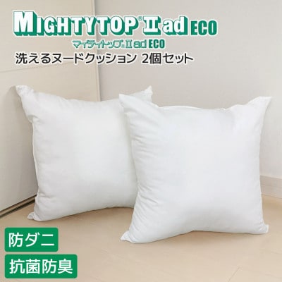 ヌード 中材 背当クッション 帝人 防ダニ 防臭2個セット_【G0813】