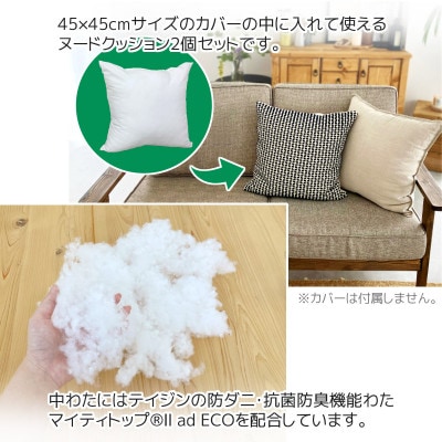ヌード 中材 背当クッション 帝人 防ダニ 防臭2個セット_【G0813】