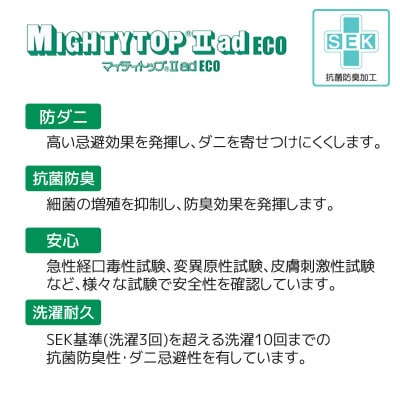 ヌード 中材 背当クッション 帝人 防ダニ 防臭2個セット_【G0813】