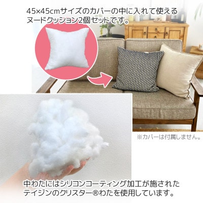 ヌード 中材 背当クッション 帝人 クリスター2個セット_【G0814】