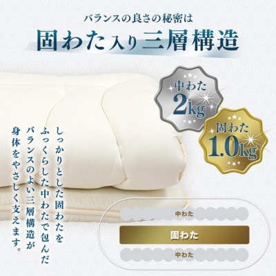 【煌】カラダを想うこだわりの形　体圧分散敷き布団　シングルロング_グレー色【G0639】
