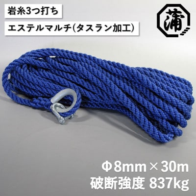 蒲印のアンカーロープ 片側シンブル加工 G2T-A (8mm×30m)_【G0632】