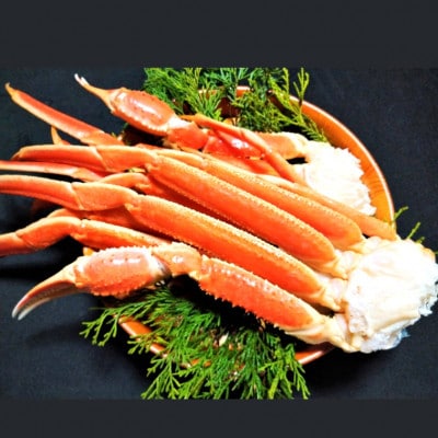 ボイルズワイガニ 2L 8肩 化粧箱_【G0697】