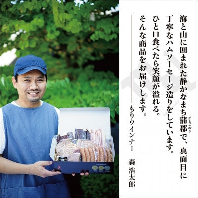 もりウインナー　ハム・ソーセージ詰め合わせ　ビーフジャーキー入り　6点セット_【G0685】