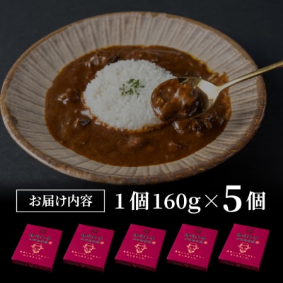 小田切牧場 信州和牛カレー5個セット