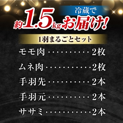 朝びき 信州黄金シャモ1羽まるごとセット