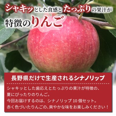 【数量限定】長野県オリジナルりんご「シナノリップ」 10個