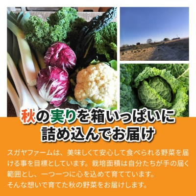 【sugaya farm】秋の実りBOX(3～4人様向け 野菜詰め合わせ) 