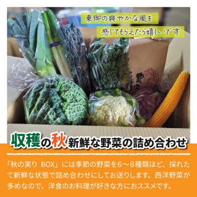 【sugaya farm】秋の実りBOX(3～4人様向け 野菜詰め合わせ) 