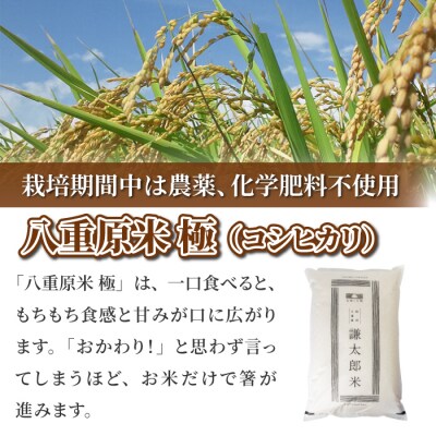 【太陽と大地】八重原産コシヒカリ白米「極」(栽培期間中農薬化学肥料不使用)8kg