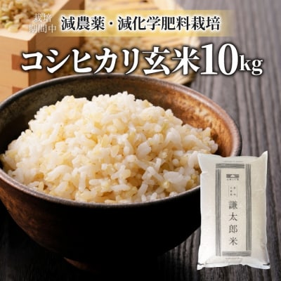 【太陽と大地】八重原産特別栽培米(栽培期間中 減農薬・減化学肥料栽培)コシヒカリ玄米10kg