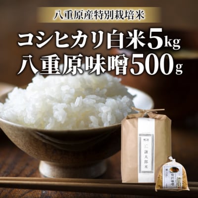 【太陽と大地】八重原産特別栽培米コシヒカリ(白米)5kgと信州味噌「八重原味噌」500gのセット