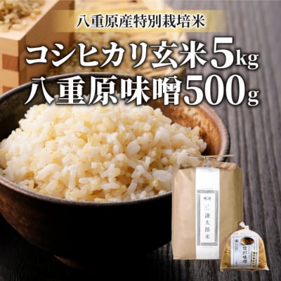 【太陽と大地】八重原産特別栽培米コシヒカリ(玄米)5kgと信州味噌「八重原味噌」500gのセット