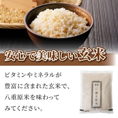 【太陽と大地】八重原産特別栽培米コシヒカリ(玄米)5kgと信州味噌「八重原味噌」500gのセット
