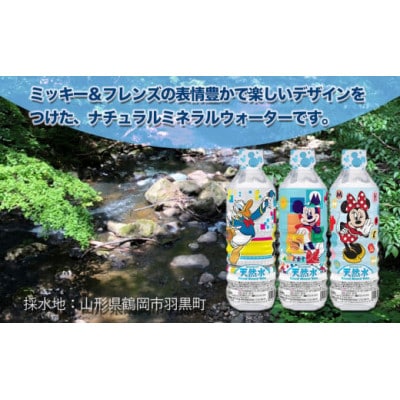 ディズニーデザインの天然水 500ml×24本