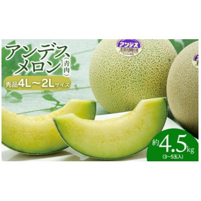【令和7年産先行予約】 アンデスメロン 3玉～5玉　秀品 4L～2L　K-739　JA鶴岡