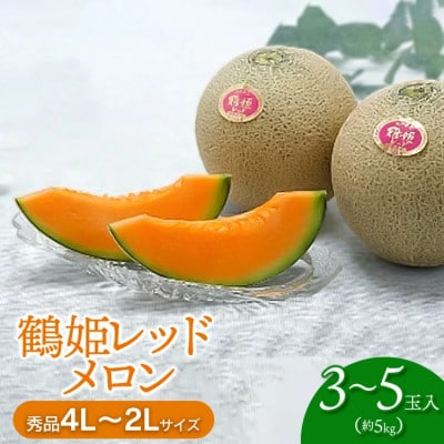 【令和8年分先行予約】鶴姫レッドメロン(3～5玉) 秀品4L～2L K-843