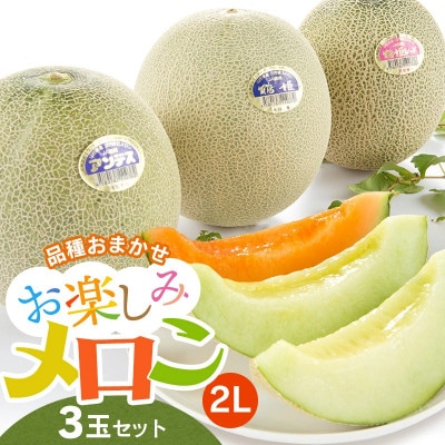 【令和8年分先行予約】お楽しみメロン(2L) 3玉セット K-836