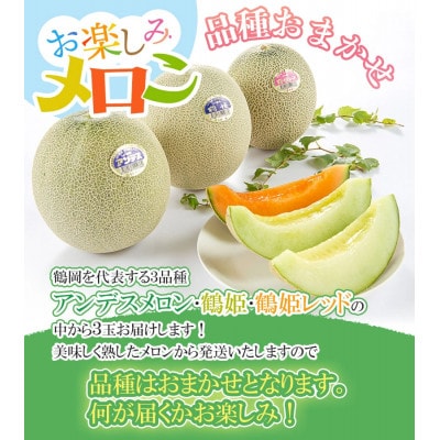 【令和8年分先行予約】お楽しみメロン(2L) 3玉セット K-836
