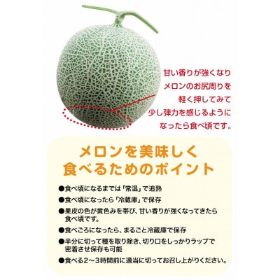 【令和8年産先行予約】 アンデスメロン 3玉～5玉 約5kg　秀品 4L～2L　K-839