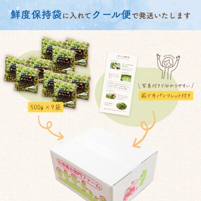 【令和9年分先行受付】だだちゃ喜左衛門(株)のだだちゃ豆《晩生》1.5kg(500g×3袋)3セット