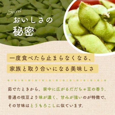 【令和9年分先行受付】だだちゃ喜左衛門(株)のだだちゃ豆《晩生》1.5kg(500g×3袋)5セット