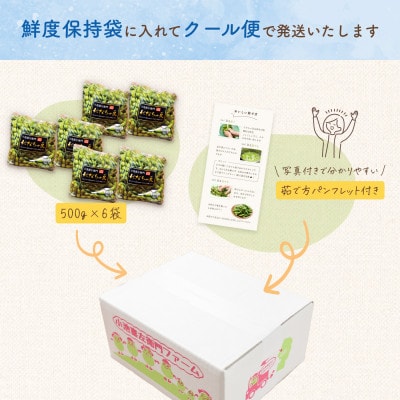 【令和9年分先行受付】だだちゃ喜左衛門(株)のだだちゃ豆《晩生》1kg(500g×2袋)3セット