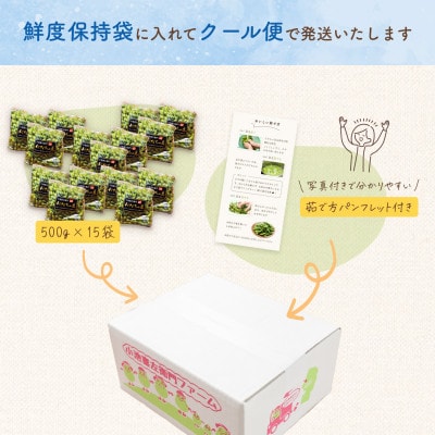 【令和9年先行受付】だだちゃ喜左衛門(株)だだちゃ豆《早生甘露》1.5kg(500g×3袋)5セット