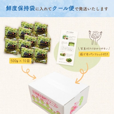 【令和9年分先行受付】だだちゃ喜左衛門(株)だだちゃ豆《早生甘露》1kg(500g×2袋)5セット