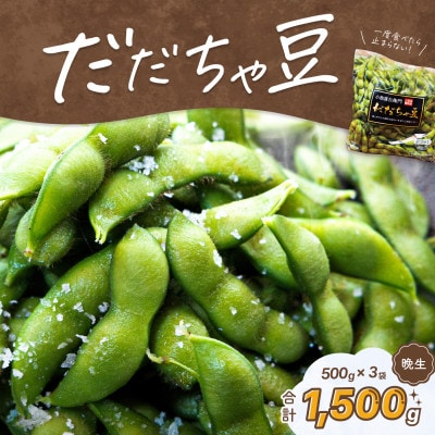 【令和9年分先行受付】だだちゃ喜左衛門(株)のだだちゃ豆《晩生》1.5kg(500g×3袋)1セット