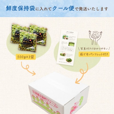 【令和9年分先行受付】だだちゃ喜左衛門(株)のだだちゃ豆《白山》1.5kg(500g×3袋)1セット