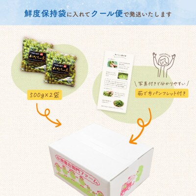 【令和9年分先行受付】だだちゃ喜左衛門(株)のだだちゃ豆《白山》1kg(500g×2袋)1セット