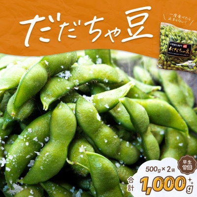 【令和9年分先行受付】だだちゃ喜左衛門(株)だだちゃ豆《早生甘露》1kg(500g×2袋)1セット
