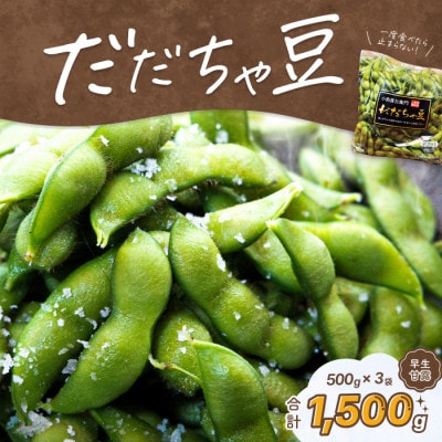 【令和9年先行受付】だだちゃ喜左衛門(株)だだちゃ豆《早生甘露》1.5kg(500g×3袋)1セット