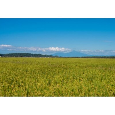 【令和4年産】馬町さくらファームのはえぬき15kg(5kg×3)A74-001