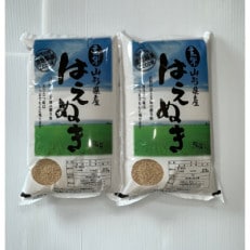 【令和5年産】さくらファームのはえぬき玄米10kg(5kg×2)Z05-002