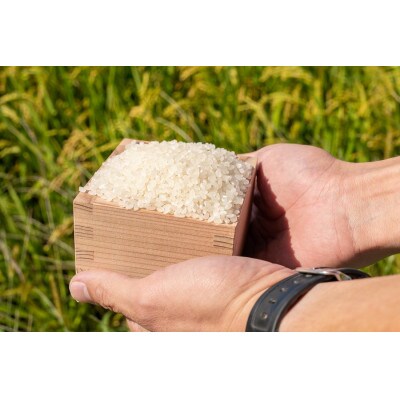 【令和5年産】雪若丸5kg+つや姫5kg　精米　A45-005　