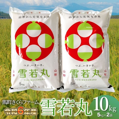 【令和6年産】  馬町さくらファームの雪若丸 精米 10kg(5kg×2袋)　K-642