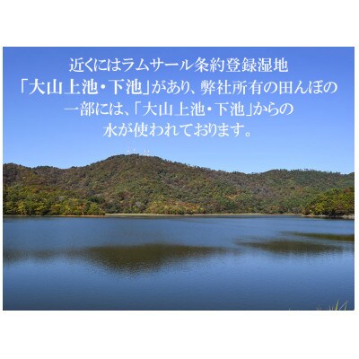 【令和6年産】  馬町さくらファームのつや姫 精米 10kg(5kg×2袋)　K-648