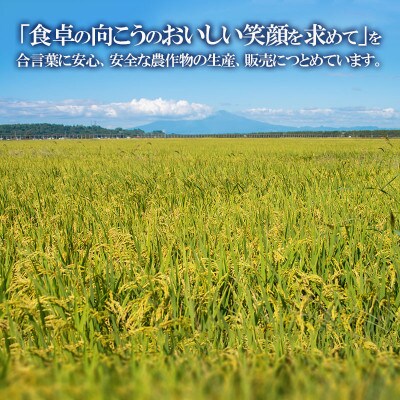 【令和6年産】 馬町さくらファームのつや姫 精米5kg・雪若丸 精米5kg　K-645