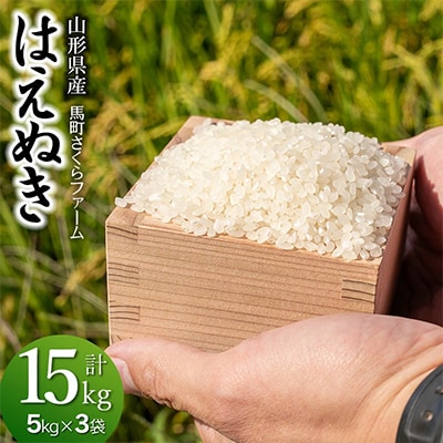 【令和7年産】 馬町さくらファームのはえぬき 精米 15kg(5kg×3袋)  [K-7147]