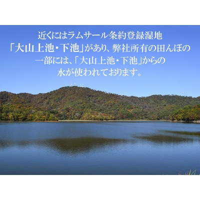 【令和6年産】  馬町さくらファームのはえぬき 精米 15kg(5kg×3袋)　K-648