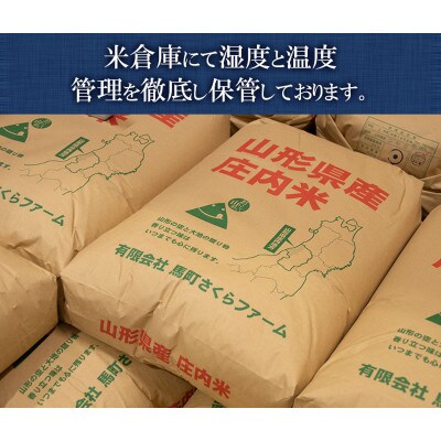 【令和6年産】  馬町さくらファームのはえぬき 精米 15kg(5kg×3袋)　K-648