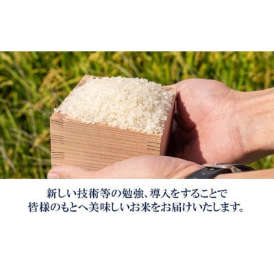 【令和8年産】馬町さくらファームのはえぬき 玄米 5kg(5kg×1袋)　山形県鶴岡市 K-826