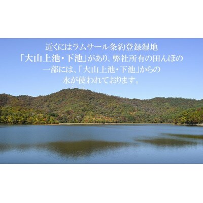 【令和8年産】 馬町さくらファームの特別栽培米つや姫 玄米 5kg(5kg×1袋)K-830