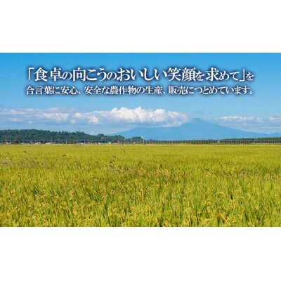 【令和8年産】 馬町さくらファームの特別栽培米つや姫 精米 5kg K-835