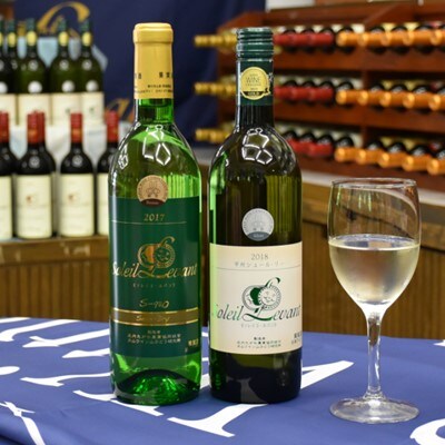 白ワイン2本セット (地ワイン・鶴岡・お酒)